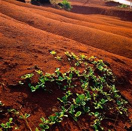 《皇家骑士团：重生》现已登陆PS5＆PS4＆PC＆NS