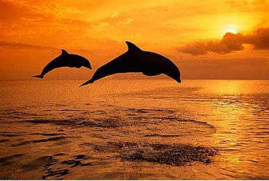 《迪士尼 竞速风暴》第二赛季追加始祖版米老鼠